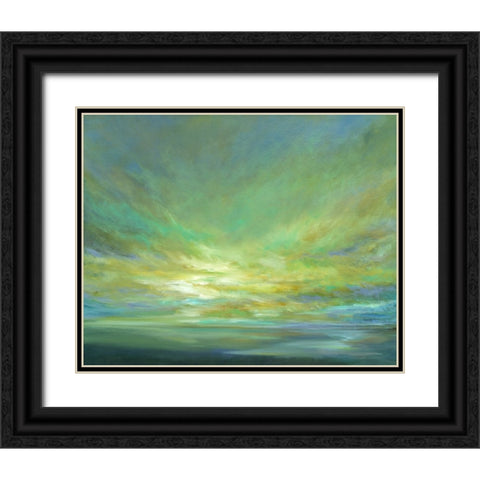 Coastal Views II Black Ornate Wood Framed Art Print with Double Matting by Finch, Sheila