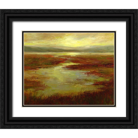 Coastal Views V Black Ornate Wood Framed Art Print with Double Matting by Finch, Sheila