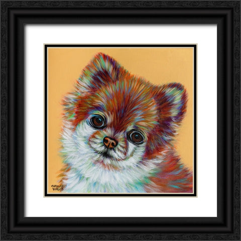 Colorful Pomeranian Black Ornate Wood Framed Art Print with Double Matting by Vitaletti, Carolee