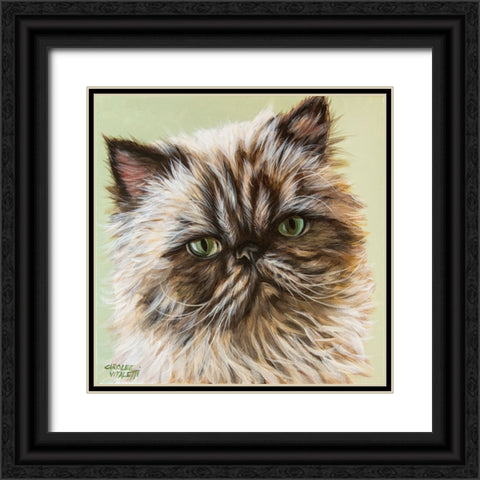 Persian Cat II Black Ornate Wood Framed Art Print with Double Matting by Vitaletti, Carolee