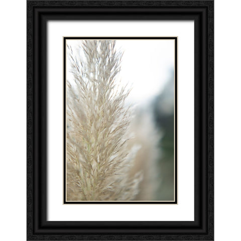 Subtle Grasses IV Black Ornate Wood Framed Art Print with Double Matting by Johnson, Jason