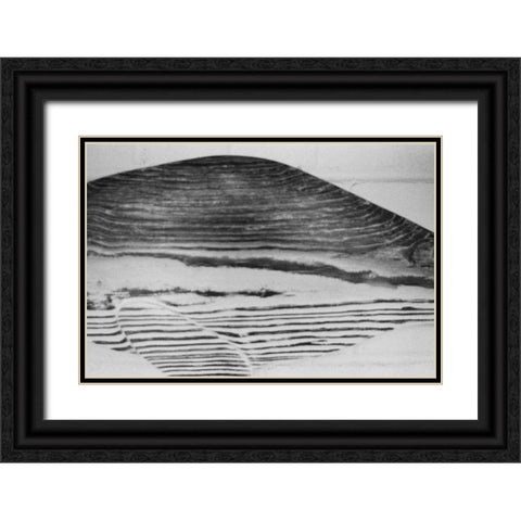 Found Textures III Black Ornate Wood Framed Art Print with Double Matting by Johnson, Jason