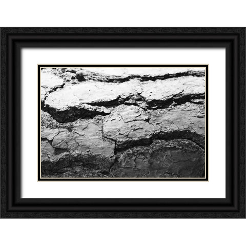 Found Textures IV Black Ornate Wood Framed Art Print with Double Matting by Johnson, Jason
