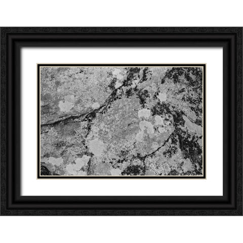 Found Textures XII Black Ornate Wood Framed Art Print with Double Matting by Johnson, Jason
