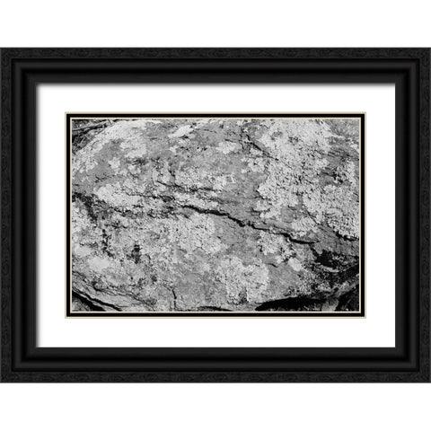 Found Textures XVI Black Ornate Wood Framed Art Print with Double Matting by Johnson, Jason