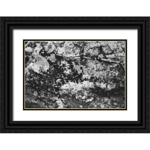 Found Textures XX Black Ornate Wood Framed Art Print with Double Matting by Johnson, Jason