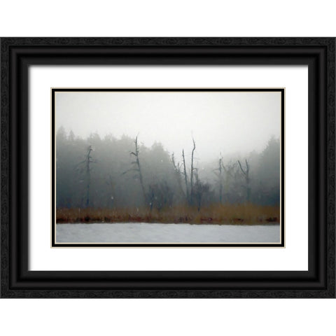 Desolate Beach Black Ornate Wood Framed Art Print with Double Matting by Curinga, Kim