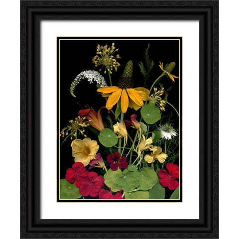 Flower Drama VII Black Ornate Wood Framed Art Print with Double Matting by Stalus, Judy
