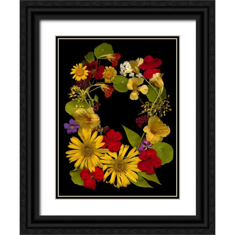 Flower Drama IX Black Ornate Wood Framed Art Print with Double Matting by Stalus, Judy