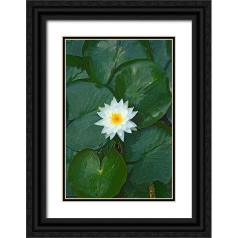 White Lotus Black Ornate Wood Framed Art Print with Double Matting by Pica, Jeff