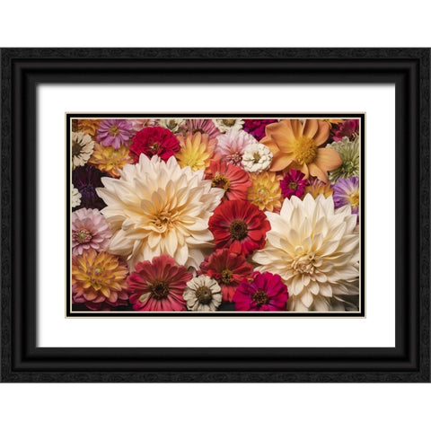 Dahlia Dream Scape  I Black Ornate Wood Framed Art Print with Double Matting by McLean, Leah