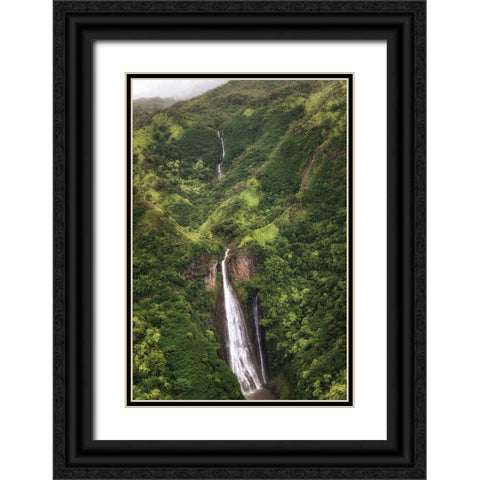 Jarassic Falls Black Ornate Wood Framed Art Print with Double Matting by Head, Danny