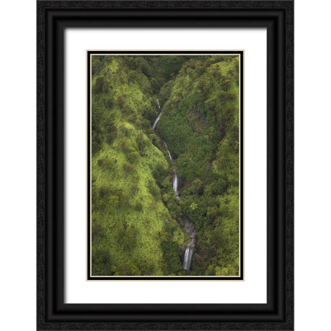 Ribbon Streams I Black Ornate Wood Framed Art Print with Double Matting by Head, Danny