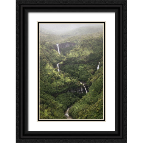 Ribbon Streams II Black Ornate Wood Framed Art Print with Double Matting by Head, Danny