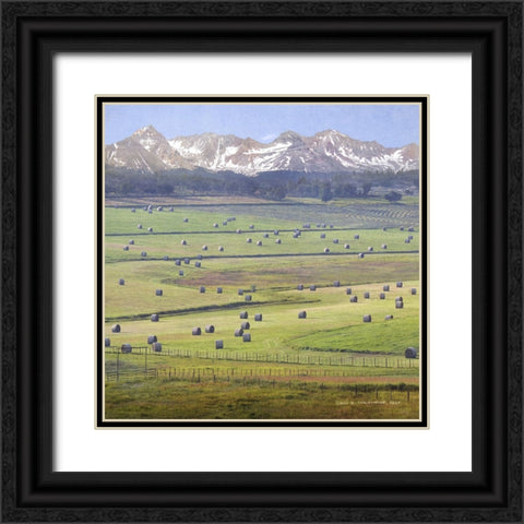 Cherry Creek Haybales Black Ornate Wood Framed Art Print with Double Matting by Vest, Chris