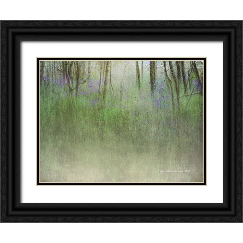 Glimpse of the Lake Black Ornate Wood Framed Art Print with Double Matting by Vest, Chris