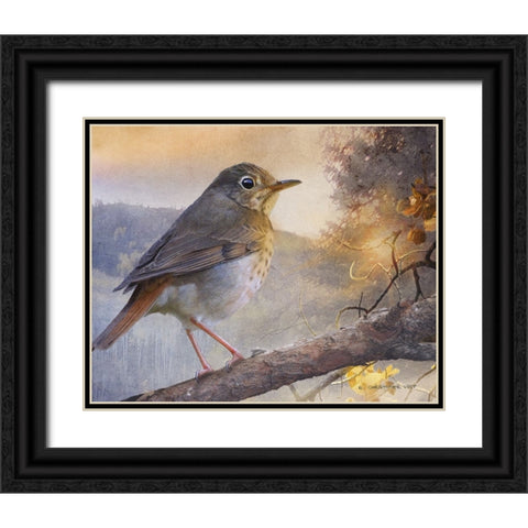 Hermit Thrush Hillside Drive Black Ornate Wood Framed Art Print with Double Matting by Vest, Chris