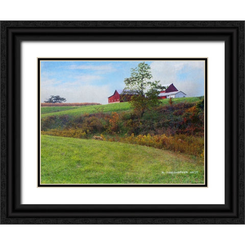 Ohio Barn with Red Fox Black Ornate Wood Framed Art Print with Double Matting by Vest, Chris