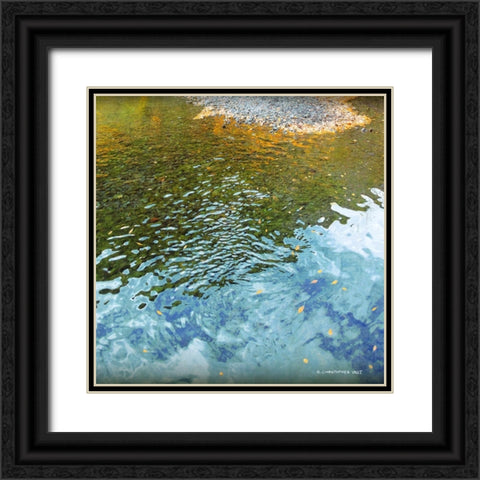 Telluride Creek Black Ornate Wood Framed Art Print with Double Matting by Vest, Chris