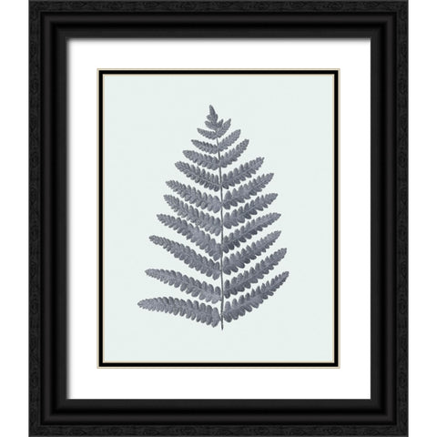 Antique Silver Ferns II Black Ornate Wood Framed Art Print with Double Matting by Vision Studio