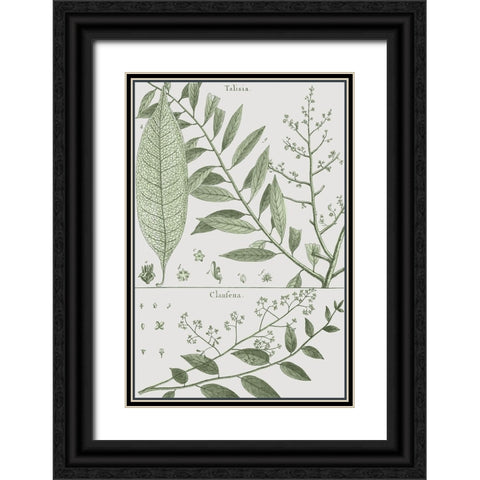 Antique Ferns Revival I Black Ornate Wood Framed Art Print with Double Matting by Dedirot
