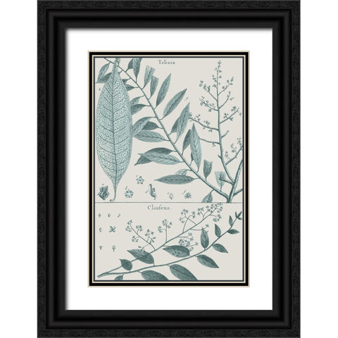 Antique Ferns Revival III Black Ornate Wood Framed Art Print with Double Matting by Dedirot