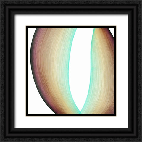 Inner Pathways  I Black Ornate Wood Framed Art Print with Double Matting by Saunders, Alonzo