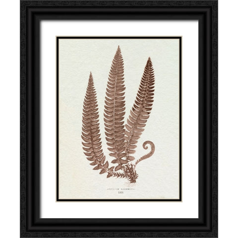 Lowe Sepia Fern V Black Ornate Wood Framed Art Print with Double Matting by Lowe, E.J.