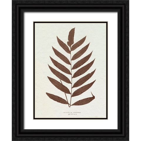 Lowe Sepia Fern VIII Black Ornate Wood Framed Art Print with Double Matting by Lowe, E.J.
