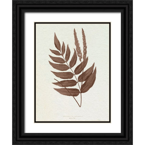Lowe Sepia Fern XII Black Ornate Wood Framed Art Print with Double Matting by Lowe, E.J.