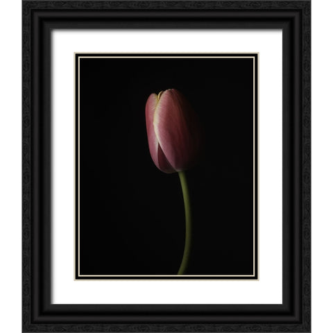 Beautiful Curve I Black Ornate Wood Framed Art Print with Double Matting by McLean, Leah