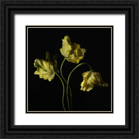 Beautiful Curve III Black Ornate Wood Framed Art Print with Double Matting by McLean, Leah