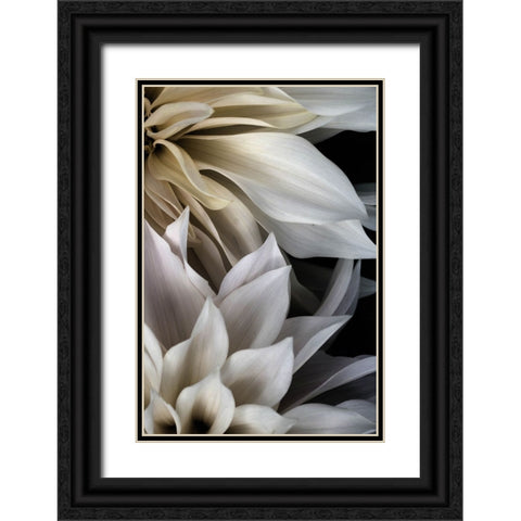 Shattered Petals III Black Ornate Wood Framed Art Print with Double Matting by Stalus, Judy