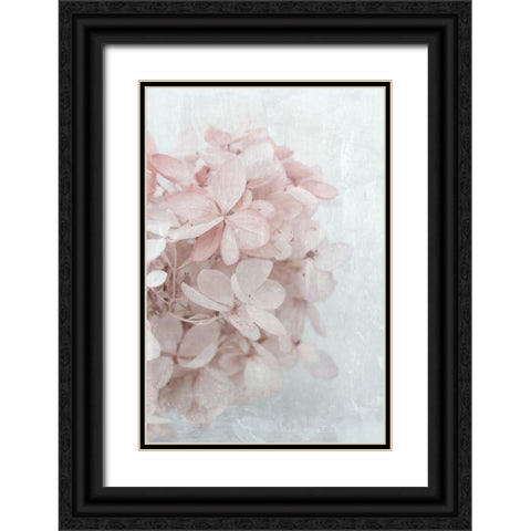 Frosted Over I Black Ornate Wood Framed Art Print with Double Matting by Stalus, Judy