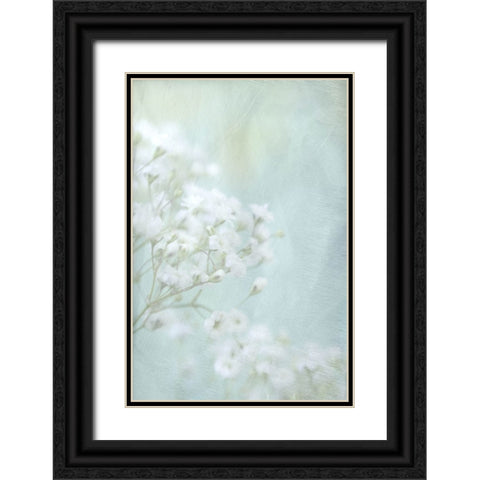Soft Whisper I Black Ornate Wood Framed Art Print with Double Matting by Stalus, Judy