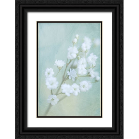 Soft Whisper III Black Ornate Wood Framed Art Print with Double Matting by Stalus, Judy