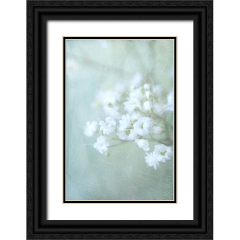 Soft Whisper IV Black Ornate Wood Framed Art Print with Double Matting by Stalus, Judy
