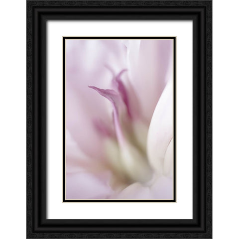 Maiden I Black Ornate Wood Framed Art Print with Double Matting by Stalus, Judy