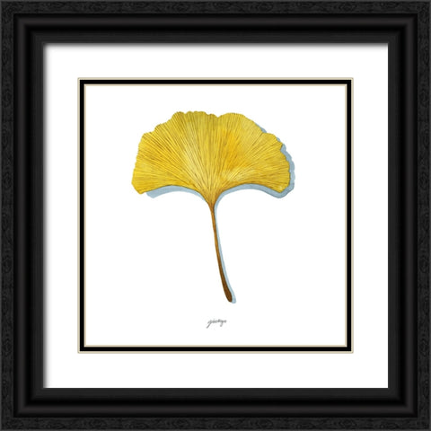 Golden Ginkgo Study I Black Ornate Wood Framed Art Print with Double Matting by Popp, Grace