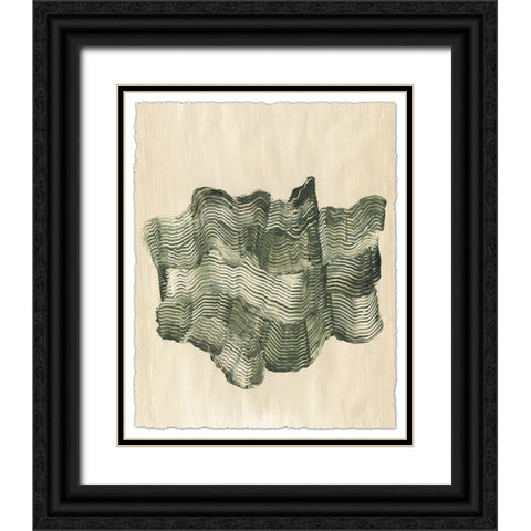 Chlorophyll II Black Ornate Wood Framed Art Print with Double Matting by Lam, Vanna