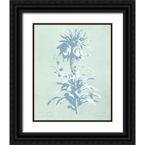 Mint Lilium I Black Ornate Wood Framed Art Print with Double Matting by Dussurgey, Chabal