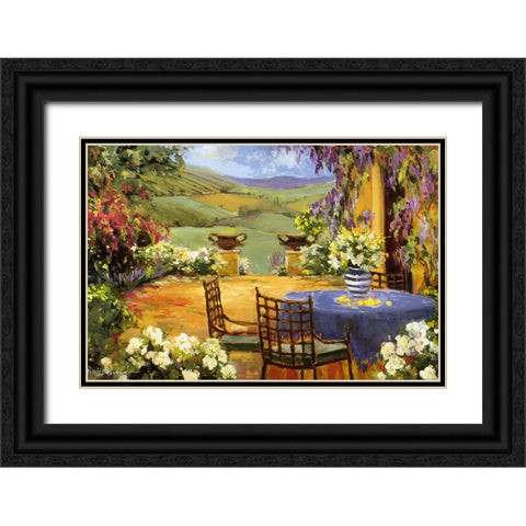 Countryside Terrace Black Ornate Wood Framed Art Print with Double Matting by Stevens, Allayn
