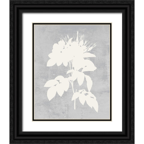 Falling Flowers I Black Ornate Wood Framed Art Print with Double Matting by Wang, Melissa