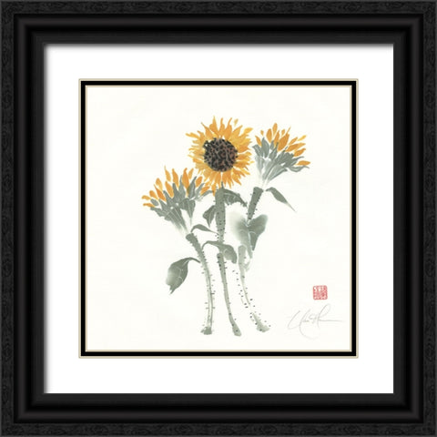 Simply Seeds II Black Ornate Wood Framed Art Print with Double Matting by Rae, Nan