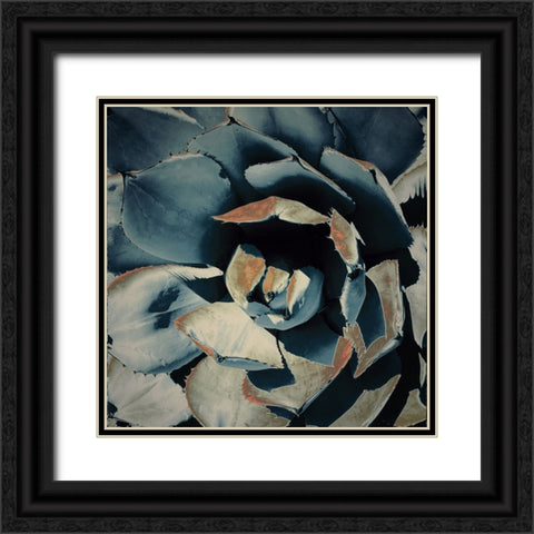 Succulent in Teal II Black Ornate Wood Framed Art Print with Double Matting by Orlov, Irena