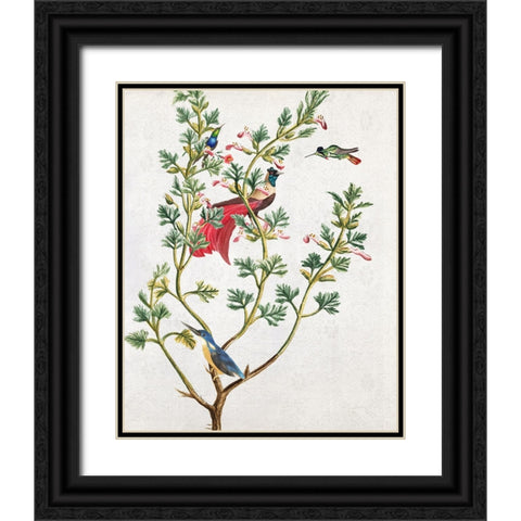 Perching Bird II Black Ornate Wood Framed Art Print with Double Matting by Smith, Karen