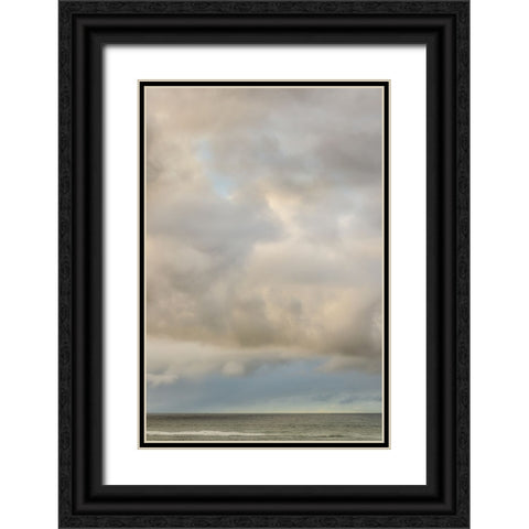 Clouds And Light I Black Ornate Wood Framed Art Print with Double Matting by Poinski, Dianne
