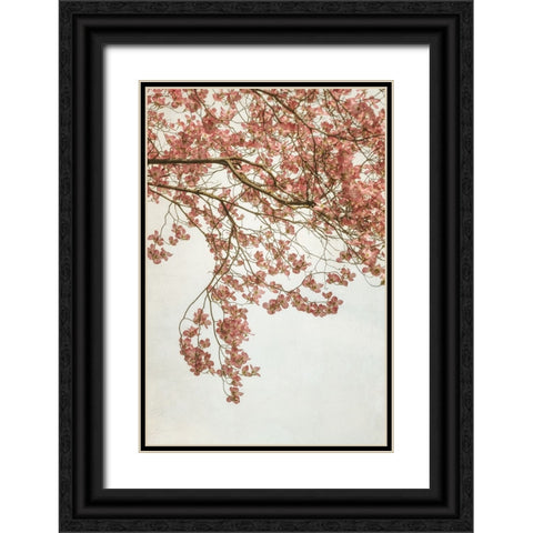 Quiet Spring  I Black Ornate Wood Framed Art Print with Double Matting by Poinski, Dianne