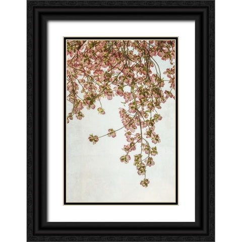Quiet Spring  II Black Ornate Wood Framed Art Print with Double Matting by Poinski, Dianne