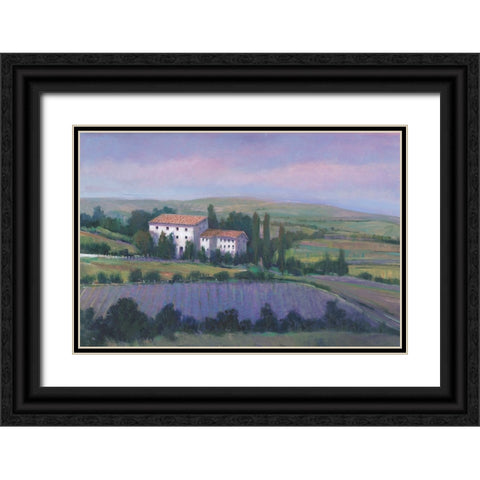 Soft Lavender Fields I Black Ornate Wood Framed Art Print with Double Matting by OToole, Tim